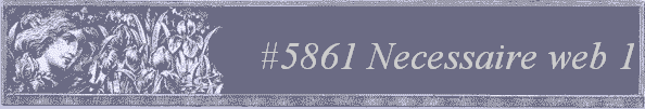#5861 Necessaire web 1