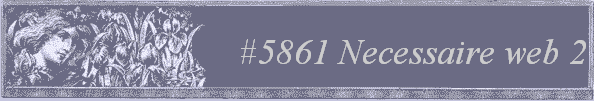 #5861 Necessaire web 2