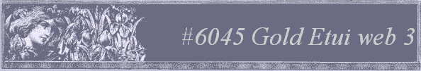 #6045 Gold Etui web 3