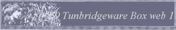 #6069 Tunbridgeware Box web 1