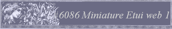 #6086 Miniature Etui web 1