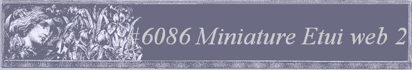 #6086 Miniature Etui web 2