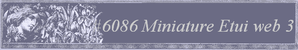 #6086 Miniature Etui web 3