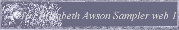 #6164
 Elizabeth Awson Sampler