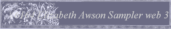 #6164 Elizabeth Awson Sampler web 3