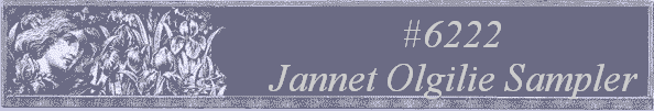#6222 
Jannet Olgilie Sampler 
