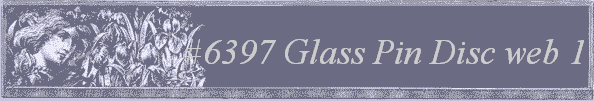 #6397 Glass Pin Disc web 1
