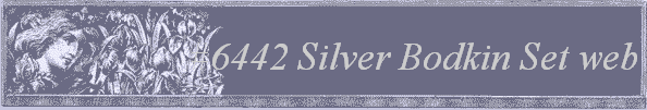 #6442 Silver Bodkin Set web