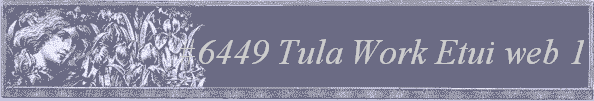 #6449 Tula Work Etui web 1