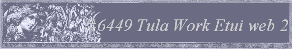 #6449 Tula Work Etui web 2