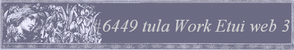 #6449 tula Work Etui web 3