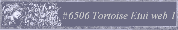 #6506 Tortoise Etui web 1