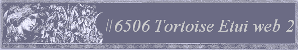 #6506 Tortoise Etui web 2
