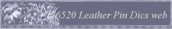 #6520 Leather Pin Dics web 