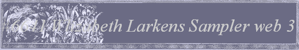 #6641 Wlizabeth Larkens Sampler web 3