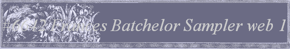 #6642 Frances Batchelor Sampler web 1