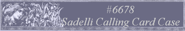 #6678
 Sadelli Calling Card Case 