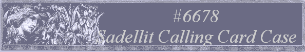 #6678
 Sadellit Calling Card Case 