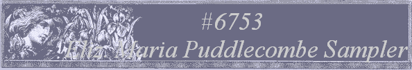 #6753 
Eliz. Maria Puddlecombe Sampler