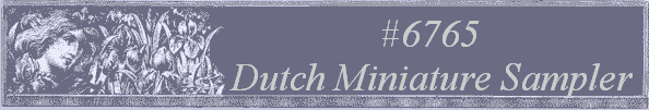 #6765
 Dutch Miniature Sampler 